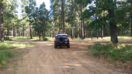 East Pocket Road - Waypoint 29: Camp Spur Intersection