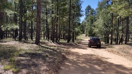 East Pocket Road - Waypoint 27: Camping Spur Intersection