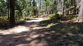 East Pocket Road - Waypoint 24: 9012R Camping Spur Intersection