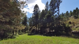 East Pocket Road - Waypoint 19: Fernow Draw