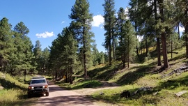 East Pocket Road - Waypoint 18: Fernow Cabin Intersection
