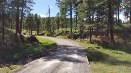 East Pocket Road - Waypoint 16: Fernow and Tram Tanks Trail Intersection
