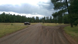 East Pocket Road - Waypoint 9: Fry Lake Trail & FR 538 Intersection