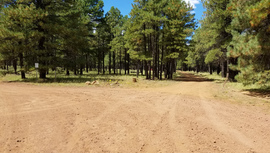 FR 535 - Waypoint 14: State Trust Land & Spur 535F