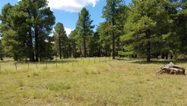 FR 535 - Waypoint 10: Cattle Guard