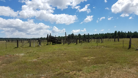 FR 535 - Waypoint 9: Meadow & Fry Lake Tank