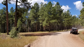 FR 535 - Waypoint 4: Camping Spur Intersection
