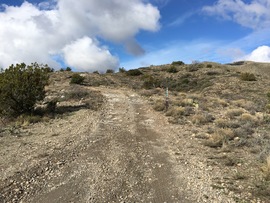 Big Maggie May Trail - Waypoint 3: Fork in Trail