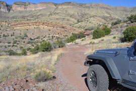 Jackson Cabin/Muleshoe Ranch Road FR #691, Arizona - Waypoint 14: Redfield Canyon Wilderness Boundary