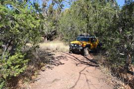 Jackson Cabin/Muleshoe Ranch Road FR #691, Arizona - Waypoint 17: Sycamore Canyon Camp Site(s)
