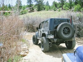 Fourmile Area: Lenhardy Cutoff - Waypoint 2: Beaver Pond