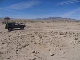 Pumpkin Patch Trail - Ocotillo Wells SVRA - Waypoint 3: Lost Lizard