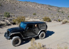 Badger Valley Loop Nevada - Waypoint 7: Shooting Gallery Petroglyphs