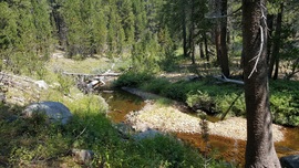 Dusy-Ershim Trail - Waypoint 6: Dusy Meadows