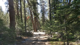 Dusy-Ershim Trail - Waypoint 17: Mallard Lake