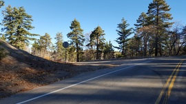 3N16 - Holcomb Valley - Waypoint 1: Trailhead (South End)