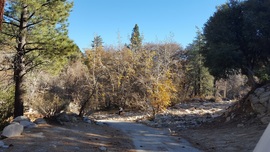 3N16 - Holcomb Valley - Waypoint 4: Continue Straight at 3N93 (Holcomb Creek, Pacific Crest Trail, Water Crossing)