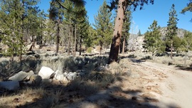 3N16 - Holcomb Valley - Waypoint 6: Stay North at 3N97 Intersection