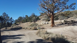 3N16 - Holcomb Valley - Waypoint 10: Continue Straight at 3N17 Intersection (White Mountain)