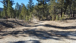 3N16 - Holcomb Valley - Waypoint 11: Continue Straight at 3N54 and 3N08 Intersections