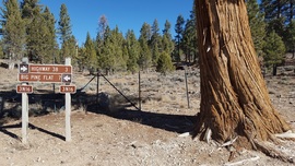 3N16 - Holcomb Valley - Waypoint 12: Continue Straight at 3N12 Intersection (Delamar Mountain)