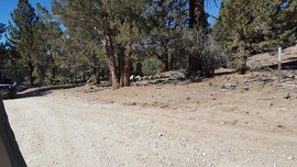 3N16 - Holcomb Valley - Waypoint 14: Go Right at 3N10 Intersection (John Bull)