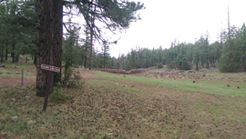 Schnebly Hill Road - Waypoint 15: Foxboro Lake Dam