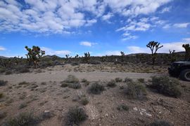 Pine Nut Road - Waypoint 4: Camping area
