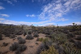 Pine Nut Road - Waypoint 5: Old Weather Station
