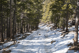 Slaughterhouse Gulch - Waypoint 3: Parking Area