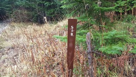 Evans Creek / Trail #519 - Waypoint 1: Trailhead