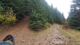 Evans Creek / Trail #519 - Waypoint 2: Trail Intersection