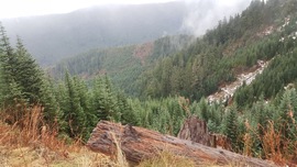 Evans Creek / Trail #519 - Waypoint 4: Stay to the Left/ Mountain and Valley Vistas