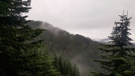 Evans Creek / Trail #519 - Waypoint 5: Evans Creek Ridgeline