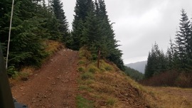 Evans Creek / Trail #519 - Waypoint 6: Top of the Mountain Summit