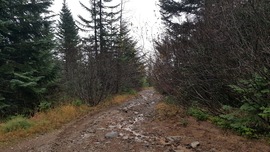 Evans Creek / Trail #519 - Waypoint 8: Playground Clearing