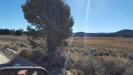 3N16 - Holcomb Valley - Waypoint 13: Homcomb Valley