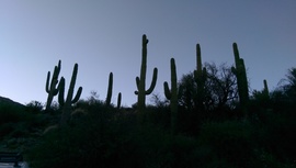 Black Canyon OHV Trail - Waypoint 13: Slate Creek
