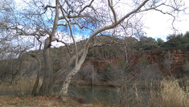 Oak Creek Homestead - Waypoint 12: Oak Creek Fire Pit