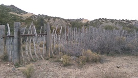 General Cook National Recreation Trail - Waypoint 8: Cattle Coral