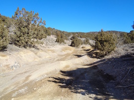 Rattlesnake - Waypoint 1: Trailhead