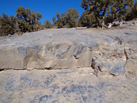 Rattlesnake - Waypoint 8: Slippery Slope/Sidewinder Trailhead