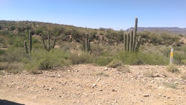 TMRA Pipeline Trail - Waypoint 2: North Hill