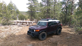 Jacks Canyon Road - Waypoint 5: Dead tree & sign