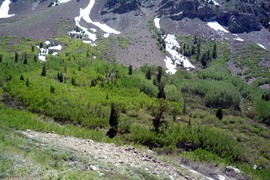 Laurel Lakes Road - Waypoint 6: Last Turnout before Switchbacks