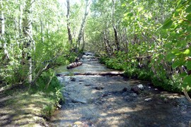 Laurel Lakes Road - Waypoint 5: 28E201A Cutoff