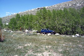 Laurel Lakes Road - Waypoint 4: Meadow