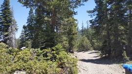 The Rubicon Trail - Waypoint 32: 14N40 - Stay South