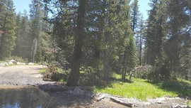 The Rubicon Trail - Waypoint 26: 4x4 Trail - Stay South
