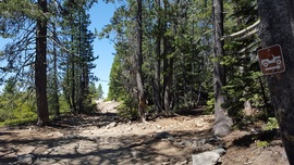 The Rubicon Trail - Waypoint 5: Wentworth Springs Split - Stay East